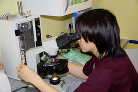 Tierärztin_Jutta_Hofmann_Tierarzt_Dormagen_Zons_Labor